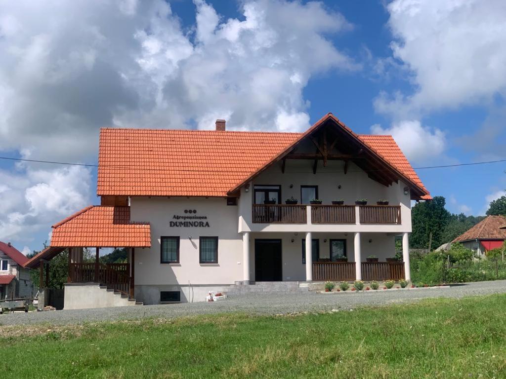 Agropensiunea Duminora Lăschia Екстериор снимка